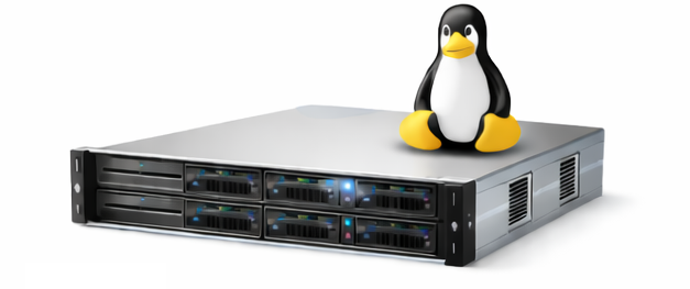 Blitz Intranet Server